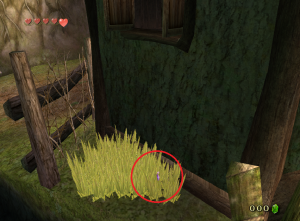 Ordon-shield-house-grass-rupee.png
